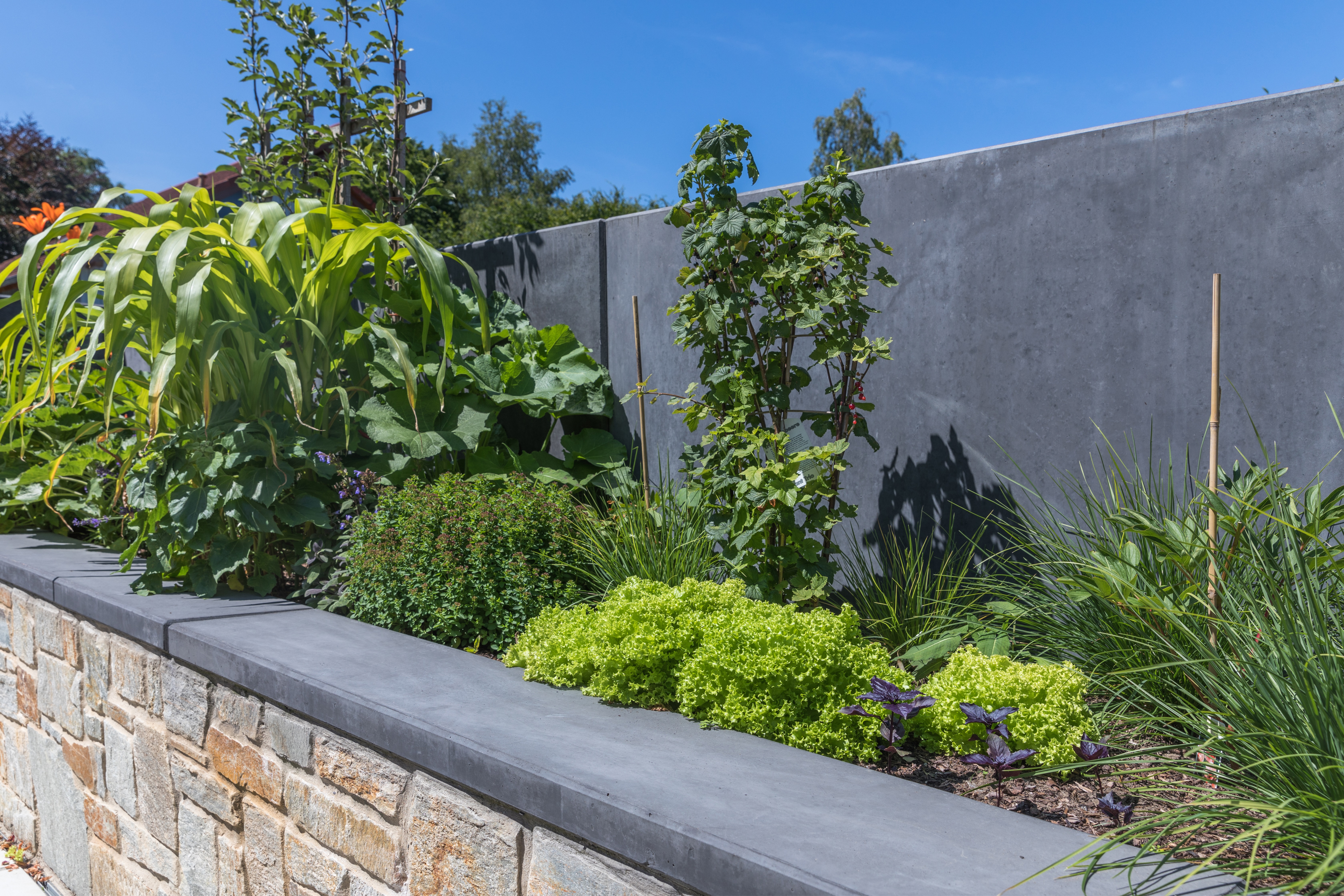 Winkelstützen Farbe Anthrazit Blumenbeet mit dunkelgrauer Betonrückwand