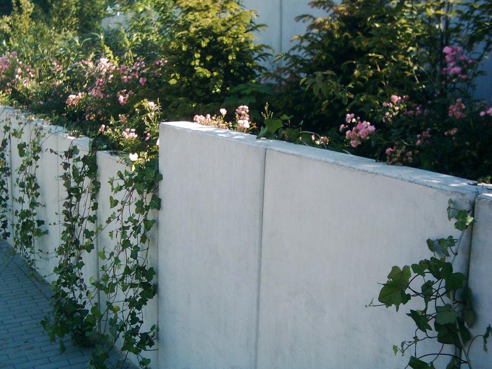 Winkelstützen an einem Hang mit Efeu